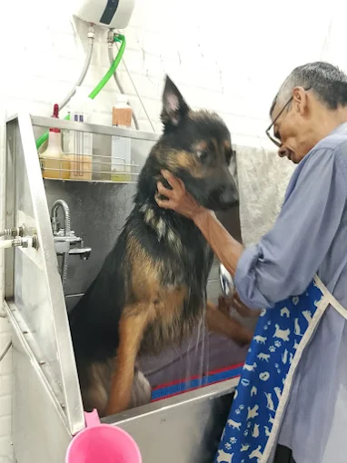 Fur O Feathers – Animal Hospital & Pet Care in Kolkata