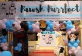 Pawsh Purrfect – Pet Grooming & Clinic Jodhpur Park Kolkata