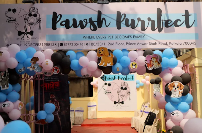 Pawsh Purrfect – Pet Grooming & Clinic Jodhpur Park Kolkata