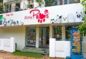 Pink Paws – Pet Grooming Service in Salt Lake, Kolkata