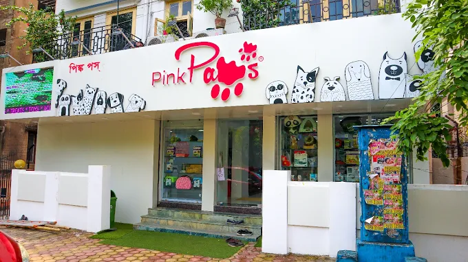Pink Paws – Pet Grooming Service in Salt Lake, Kolkata