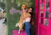 The Bark Tub – Pet Grooming Salon & Spa in Powai, Mumbai