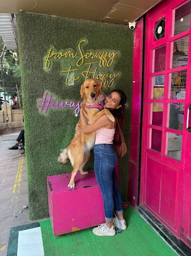 The Bark Tub – Pet Grooming Salon & Spa in Powai, Mumbai