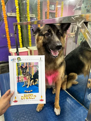 The Bark Tub – Pet Grooming Salon & Spa in Powai, Mumbai