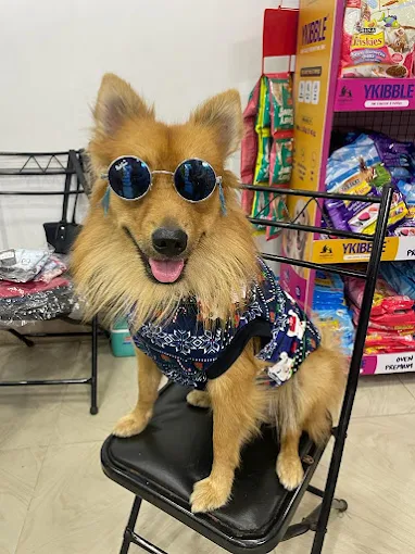 Whiskee Pet Zone – Veterinary Clinics in Kolkata